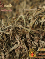หญ้าปักกิ่ง อบแห้ง (Dried Murdannia loriformis) 500g.