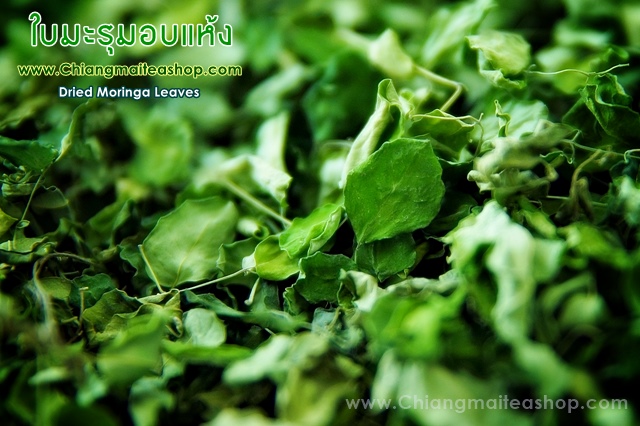 รูปภาพที่1 ของสินค้า : ใบมะรุมอบแห้ง (Dried Moringa Leaves) 1 Kg