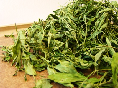 รูปภาพที่1 ของสินค้า : หญ้าหวาน อบแห้ง (Dried Stevia) 1Kg.