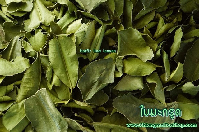 ٻҾ2 ͧԹ : Сٴ (Kaffir lime leaves) 1Kg.