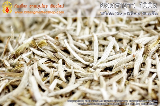 รูปภาพที่2 ของสินค้า : ชาขาวแท้ (ยอดใบชาขาว) WhiteTea SilverNeedle 100g