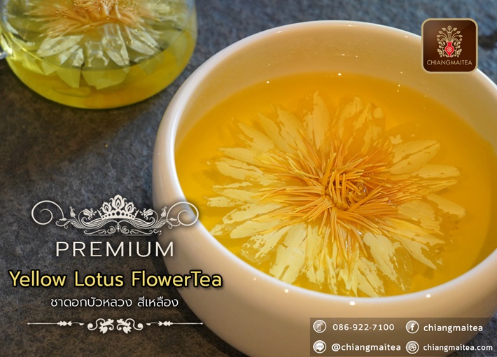 ٻҾ3 ͧԹ : Ҵ͡ǧ  (͡) ͧ (Yellow Sacred Lotus Flower Tea Premium)
