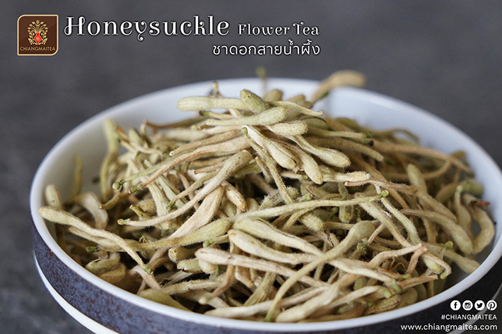 รูปภาพที่3 ของสินค้า : ชาดอกสายน้ำผึ้ง Honeysuckle Flower Tea