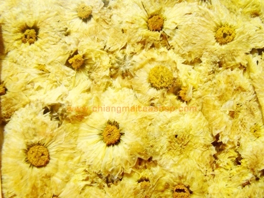 ٻҾ3 ͧԹ : ͺ (Dried Chrysanthemum) 1 Kg