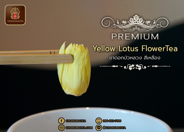 ٻҾ4 ͧԹ : Ҵ͡ǧ  (͡) ͧ (Yellow Sacred Lotus Flower Tea Premium)