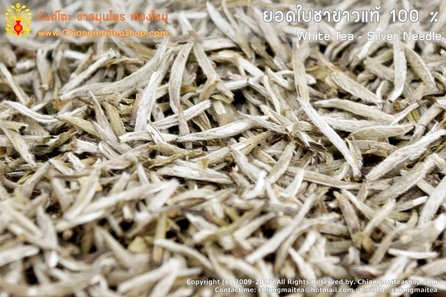 รูปภาพที่4 ของสินค้า : ชาขาวแท้ (ยอดใบชาขาว) WhiteTea SilverNeedle 100g