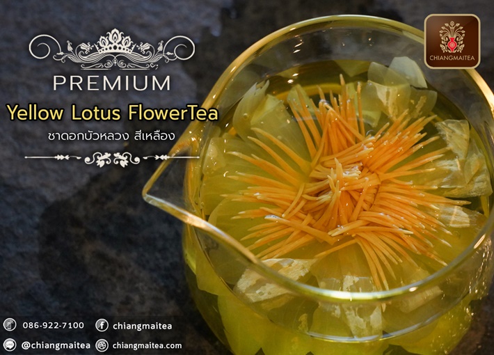 ٻҾ5 ͧԹ : Ҵ͡ǧ  (͡) ͧ (Yellow Sacred Lotus Flower Tea Premium)
