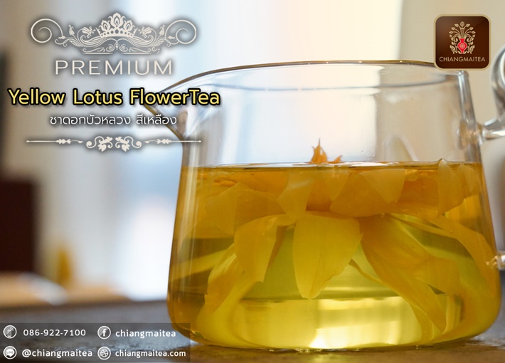 ٻҾ6 ͧԹ : Ҵ͡ǧ  (͡) ͧ (Yellow Sacred Lotus Flower Tea Premium)